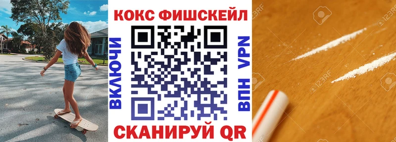 Кокаин FishScale  цены   Чёрмоз 