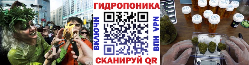 Конопля индика Чёрмоз